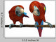 2 Scarlet Macaws Perched Wall Decal