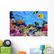 Photo Coral Colony