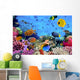 Photo Coral Colony