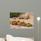 Arial-view Construction Vehicles Wall Decal