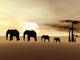 elephants Wall Mural