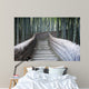 Bamboo Walkway