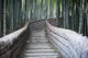 Bamboo Walkway
