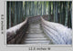 Bamboo Walkway