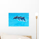 Leaping Bottlenose Dolphins Tursiops Wall Mural