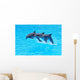 Leaping Bottlenose Dolphins Tursiops Wall Mural