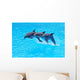 Leaping Bottlenose Dolphins Tursiops Wall Mural