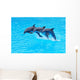 Leaping Bottlenose Dolphins Tursiops Wall Mural