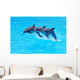 Leaping Bottlenose Dolphins Tursiops Wall Mural