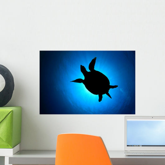 Silhouette Hawksbill Sea Turtle