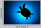 Silhouette Hawksbill Sea Turtle