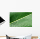 banana leaf texture Wall Mural