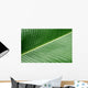 banana leaf texture Wall Mural