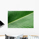 banana leaf texture Wall Mural
