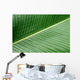 banana leaf texture Wall Mural
