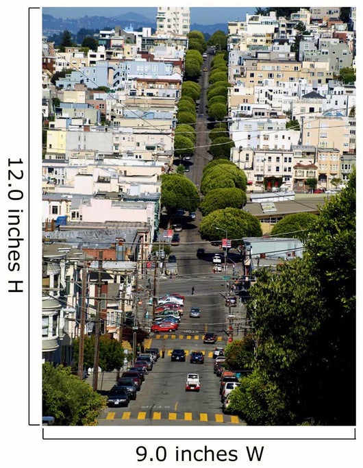 San Francisco Wall Mural