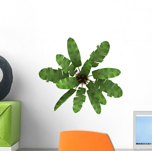 Top Wild Banana Palm Wall Decal
