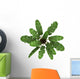Top Wild Banana Palm Wall Decal