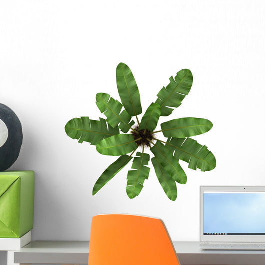 Top Wild Banana Palm Wall Decal