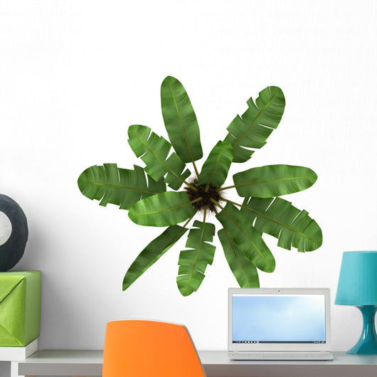 Top Wild Banana Palm Wall Decal
