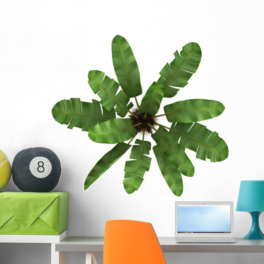 Top Wild Banana Palm Wall Decal