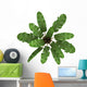 Top Wild Banana Palm Wall Decal