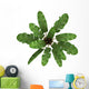 Top Wild Banana Palm Wall Decal