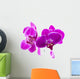 Purple Orchids for Relaxation