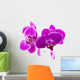 Purple Orchids for Relaxation