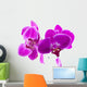 Purple Orchids for Relaxation