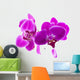 Purple Orchids for Relaxation