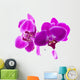 Purple Orchids for Relaxation