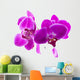 Purple Orchids for Relaxation