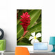 Ginger Flower