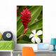 Ginger Flower