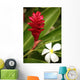 Ginger Flower