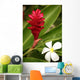 Ginger Flower