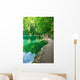 Walking Path Plitvice Lakes