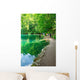 Walking Path Plitvice Lakes