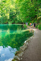 Walking Path Plitvice Lakes