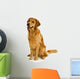 Golden Retriever Wall Decal