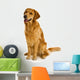 Golden Retriever Wall Decal