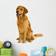 Golden Retriever Wall Decal