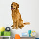 Golden Retriever Wall Decal