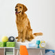 Golden Retriever Wall Decal