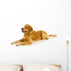 Golden Retriever Wall Decal