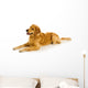 Golden Retriever Wall Decal