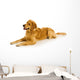 Golden Retriever Wall Decal