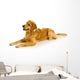 Golden Retriever Wall Decal