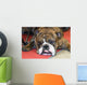 Bouledogue Anglais